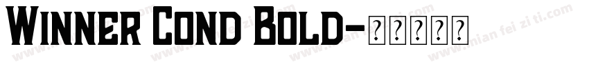 Winner Cond Bold字体转换